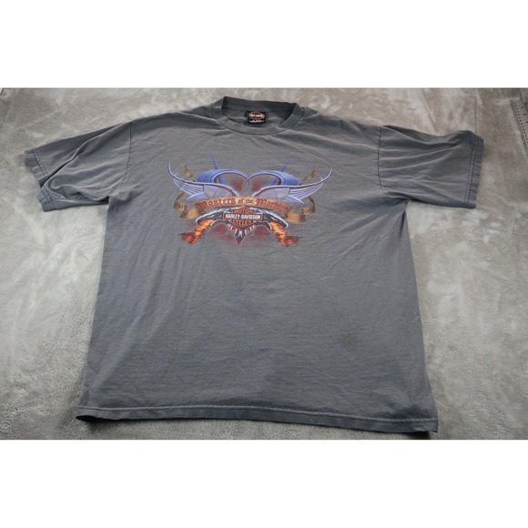 Harley-Davidson Other - Vintage Harley-Davidson Shirt Mens XL Gray Masters Machine Nassau County 2003